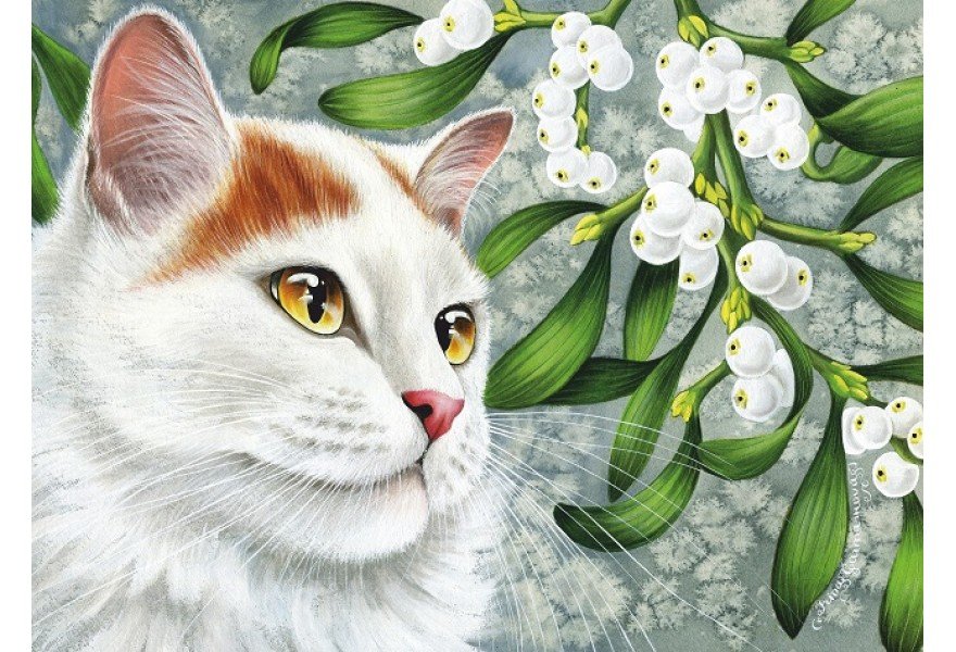 Омела белая - цветок, омела, кошка, кот - оригинал
