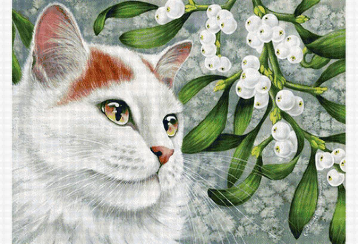 Омела белая - омела, кошка, цветок, кот - предпросмотр