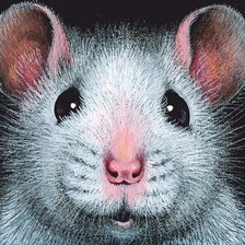 Схема вышивки «Фото на паспорт»