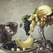 Схема вышивки «№1845675»