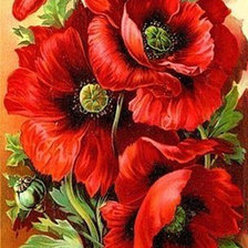 Схема вышивки «Мак»