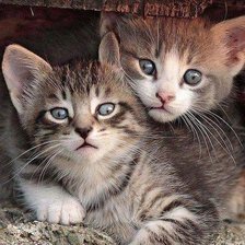 Схема вышивки «№1846340»