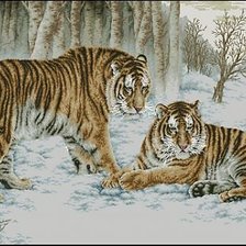 Оригинал схемы вышивки «бенгальские тигры» (№1846584)