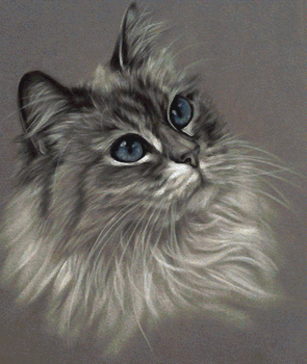 котик - предпросмотр