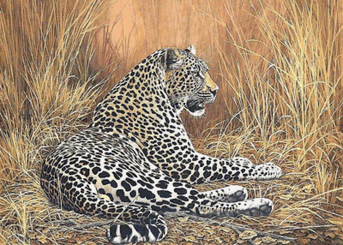 леопард - мир животных - предпросмотр