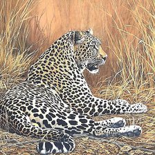 Схема вышивки «леопард»