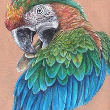 Схема вышивки «рисунок»