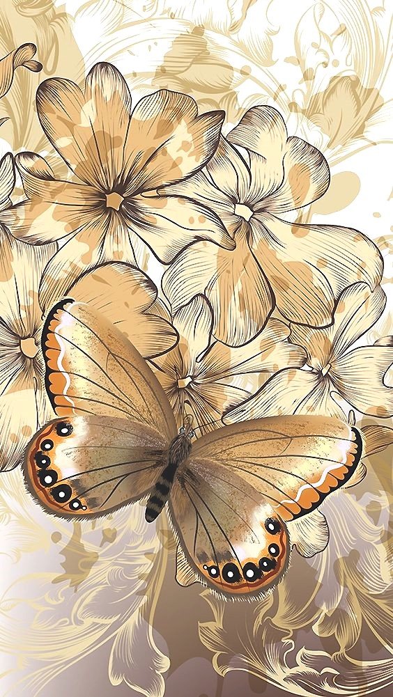 бабочка - оригинал