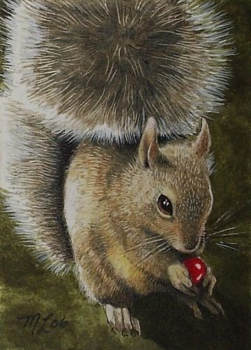 Пушистая красавица - белка - оригинал