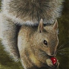 Схема вышивки «Пушистая красавица»