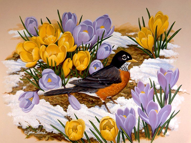 По картине Джона Фрэнча Слоана - крокусы, снег, птица, цветы - оригинал