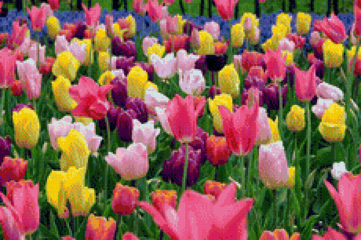 цветы - цветы - предпросмотр