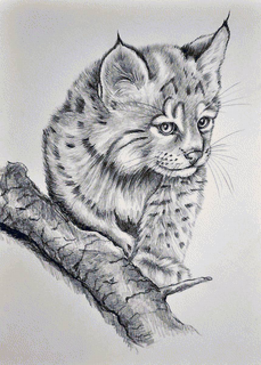 рысёнок - предпросмотр