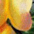 Предпросмотр схемы вышивки «Жёлтые розы» (№1848990)