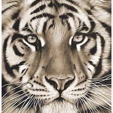 Схема вышивки «№1848995»