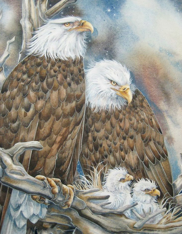 Птицы в гнезде - орлан, птицы, птенцы - оригинал