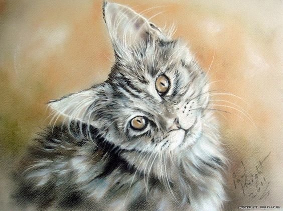 Котенок - кошки - оригинал