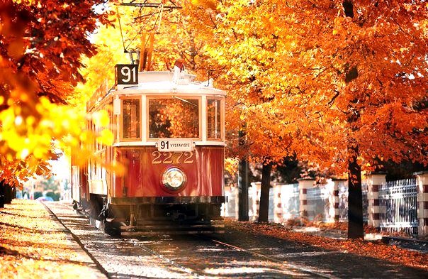 осенний трамвай - город - оригинал