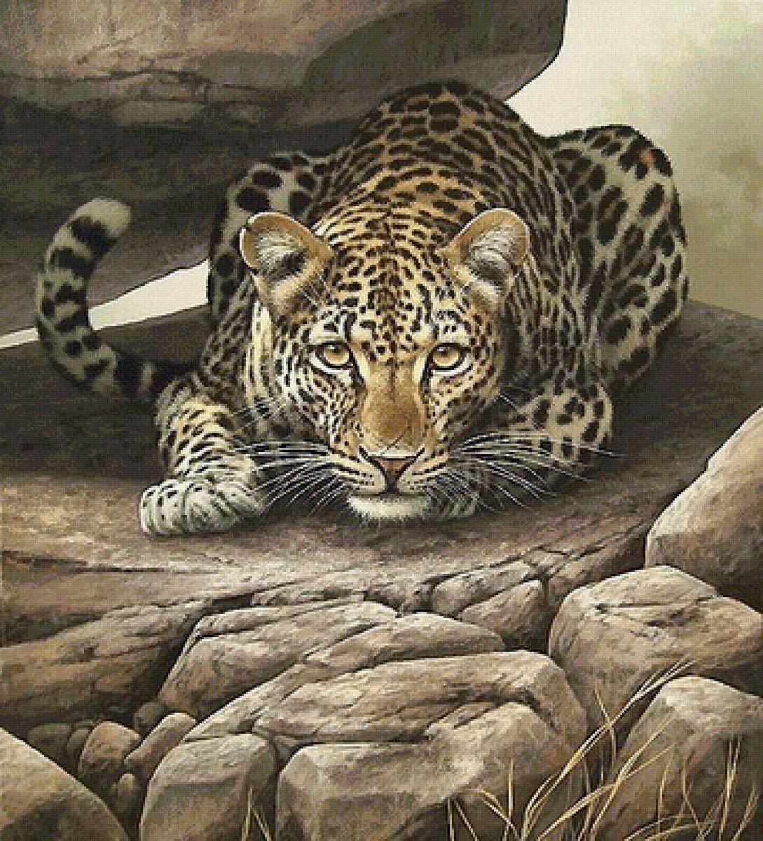 ягуар - ягуар - предпросмотр