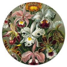 Оригинал схемы вышивки «Орхидеи» (№1850439)