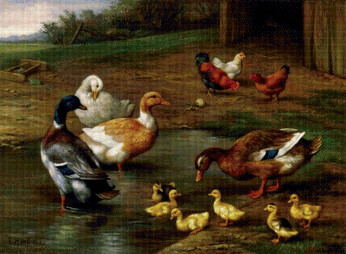 466 - предпросмотр