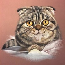 Схема вышивки «котик»