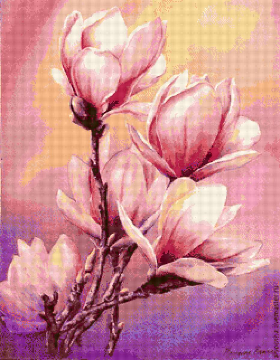 Нежная магнолия - dmc, нежность, красивые, цветы, розовые, магнолия - предпросмотр