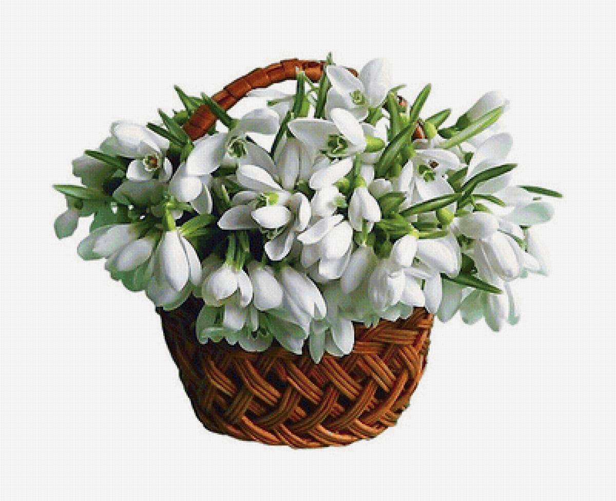 №1851703 - предпросмотр