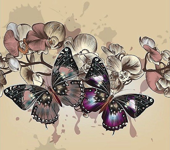 бабочки - оригинал