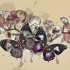 Оригинал схемы вышивки «бабочки» (№1851952)
