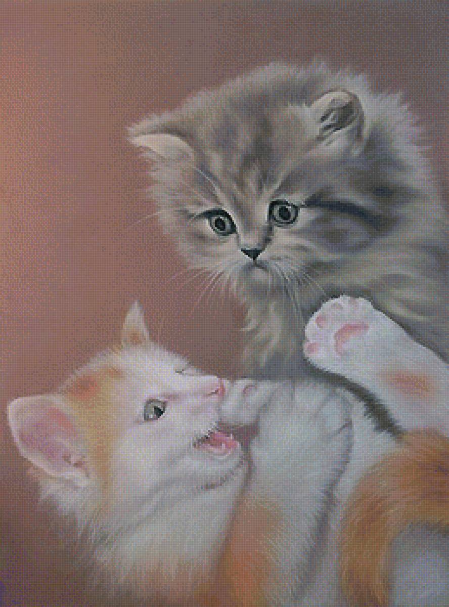 котята - предпросмотр