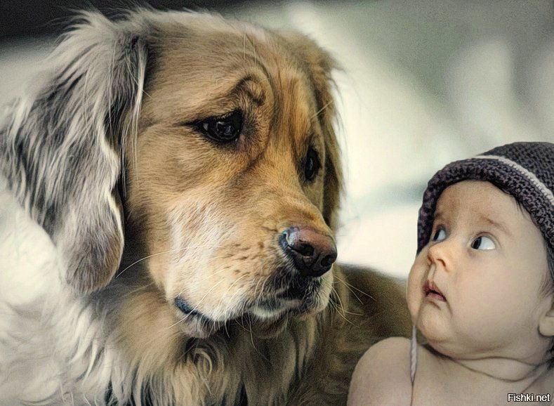Малыш и собака - оригинал