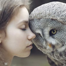 Схема вышивки «Девочка с совой»