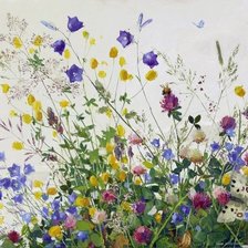 Схема вышивки «Полевые цветы»