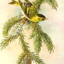 Схема вышивки «№1852123»