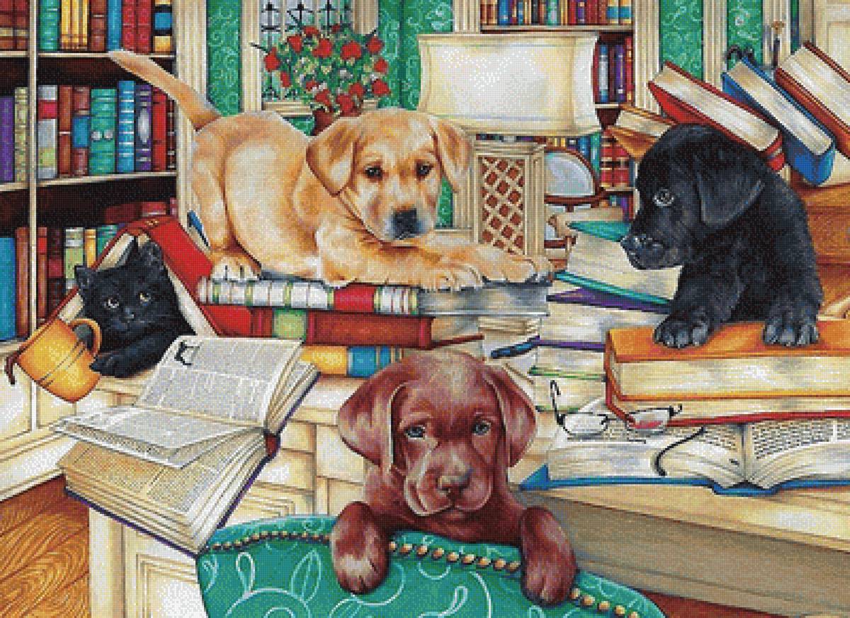 мир животных - мир животных - предпросмотр