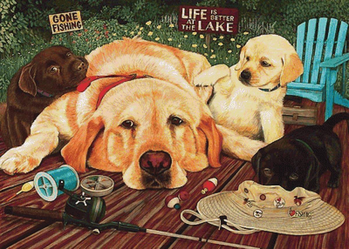 собаки - собаки - предпросмотр