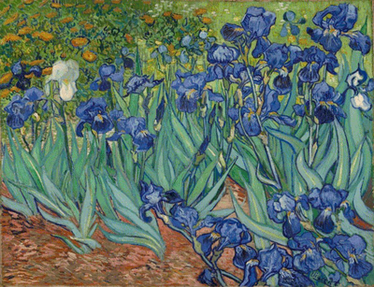 Van Gogh Irises - предпросмотр