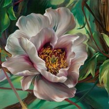 Схема вышивки «Экзотические цветы 2»