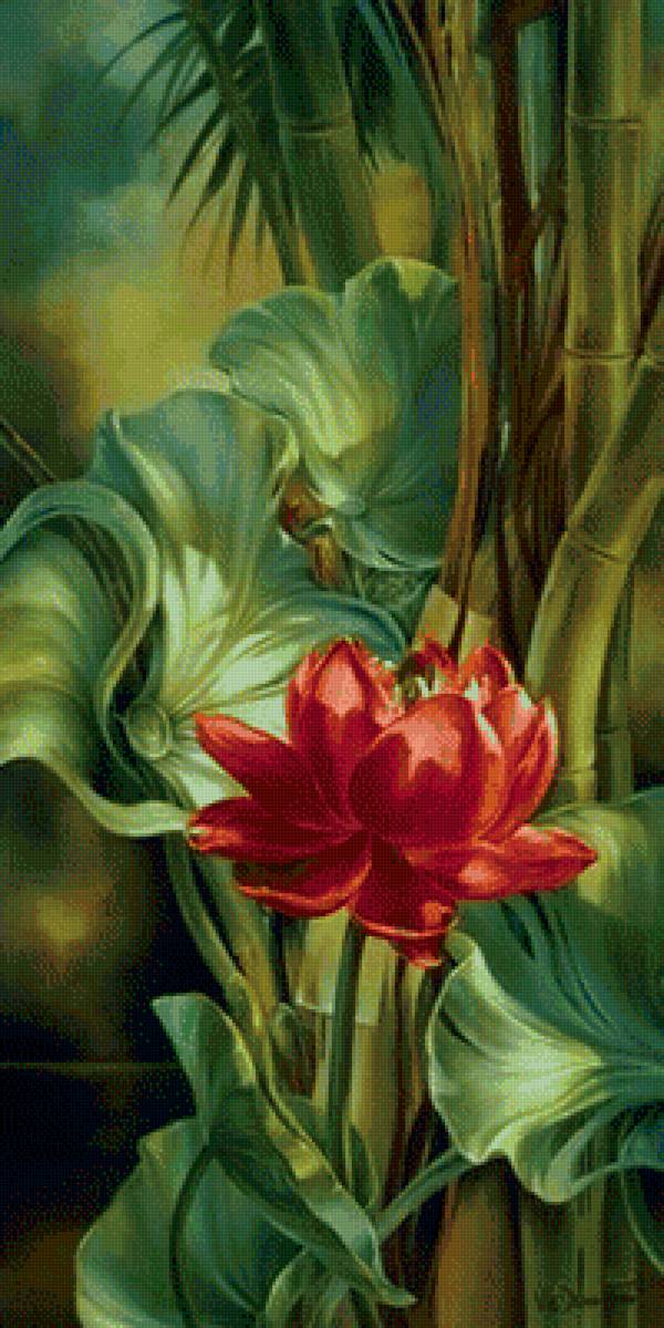 Экзотические цветы 3 - растения, цветы - предпросмотр