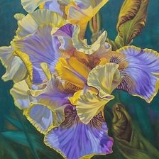 Схема вышивки «ирис»