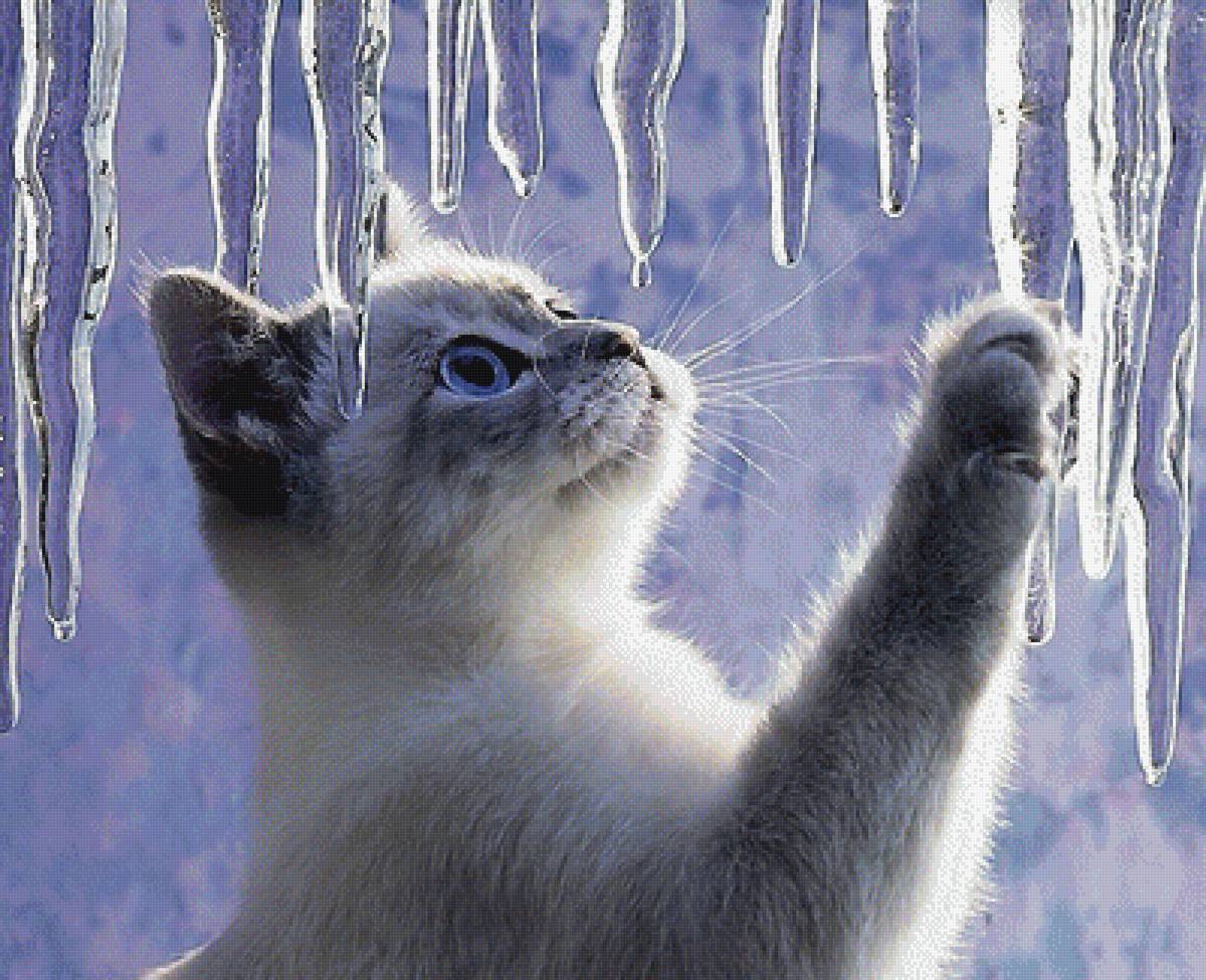 №1853031 - предпросмотр