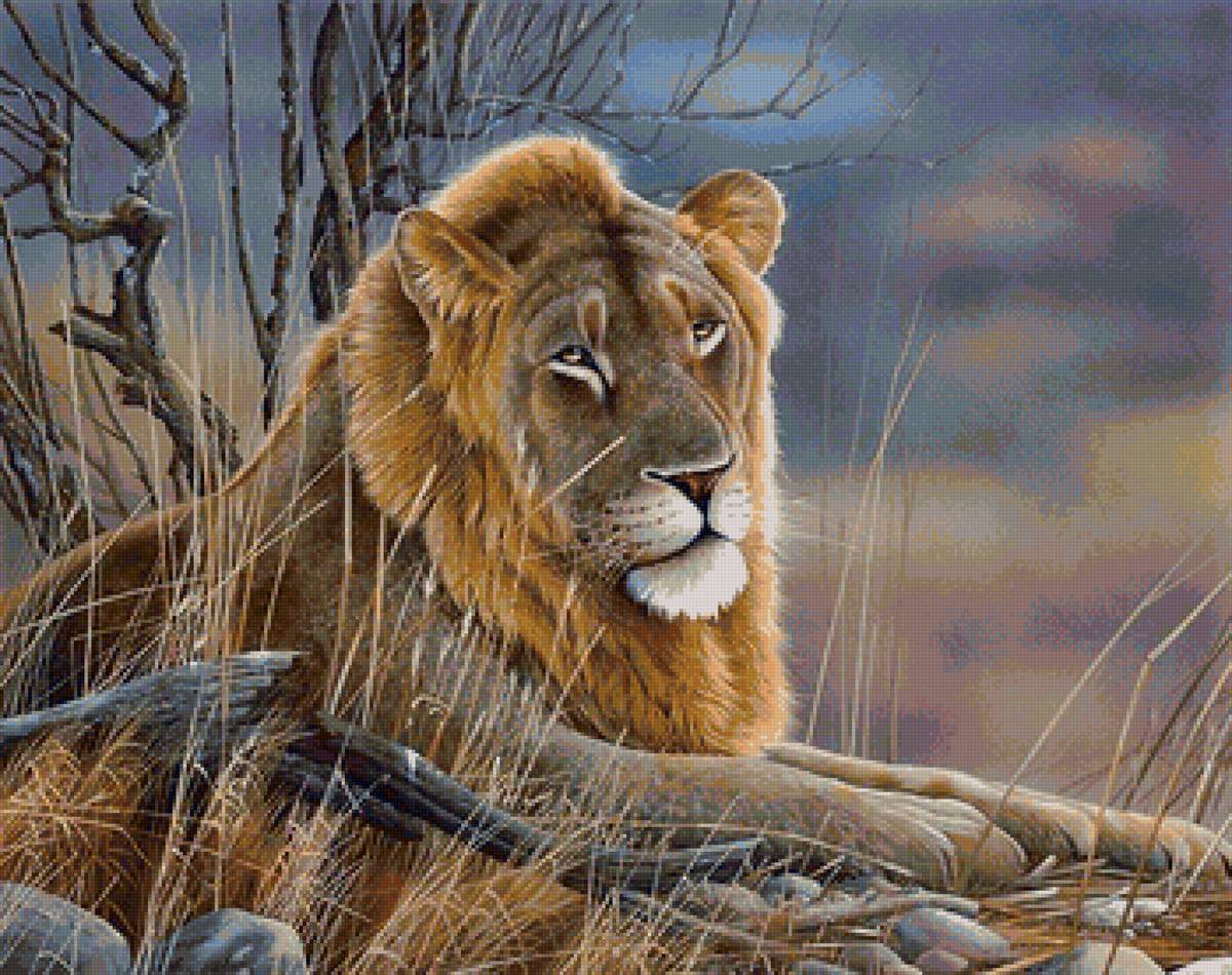 Лев - лев, животные - предпросмотр
