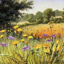 Схема вышивки «ПОЛЕВЫЕ ЦВЕТЫ»