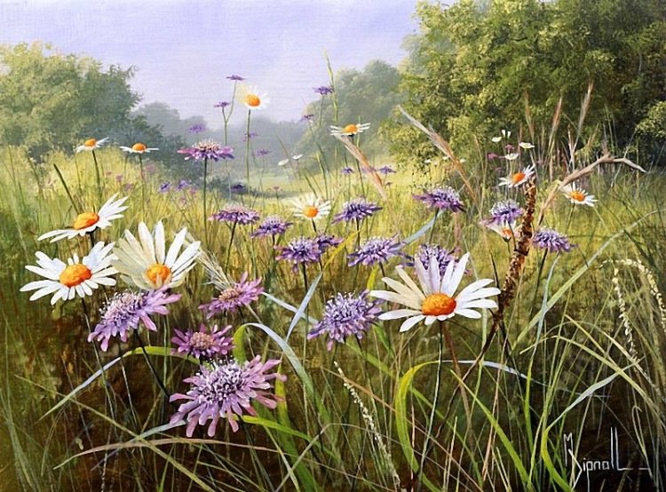 ПОЛЕВЫЕ ЦВЕТЫ - пейзаж, полевые цветы - оригинал