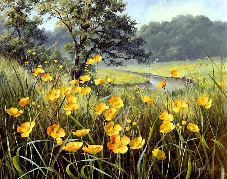 ПОЛЕВЫЕ ЦВЕТЫ - полевые цветы, пейзаж - оригинал