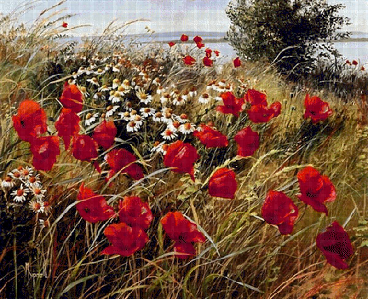 ПОЛЕВЫЕ ЦВЕТЫ - полевые цветы, пейзаж - предпросмотр