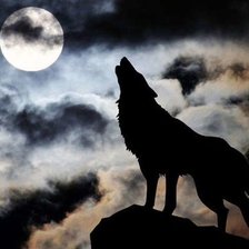 Схема вышивки «Волк №3»