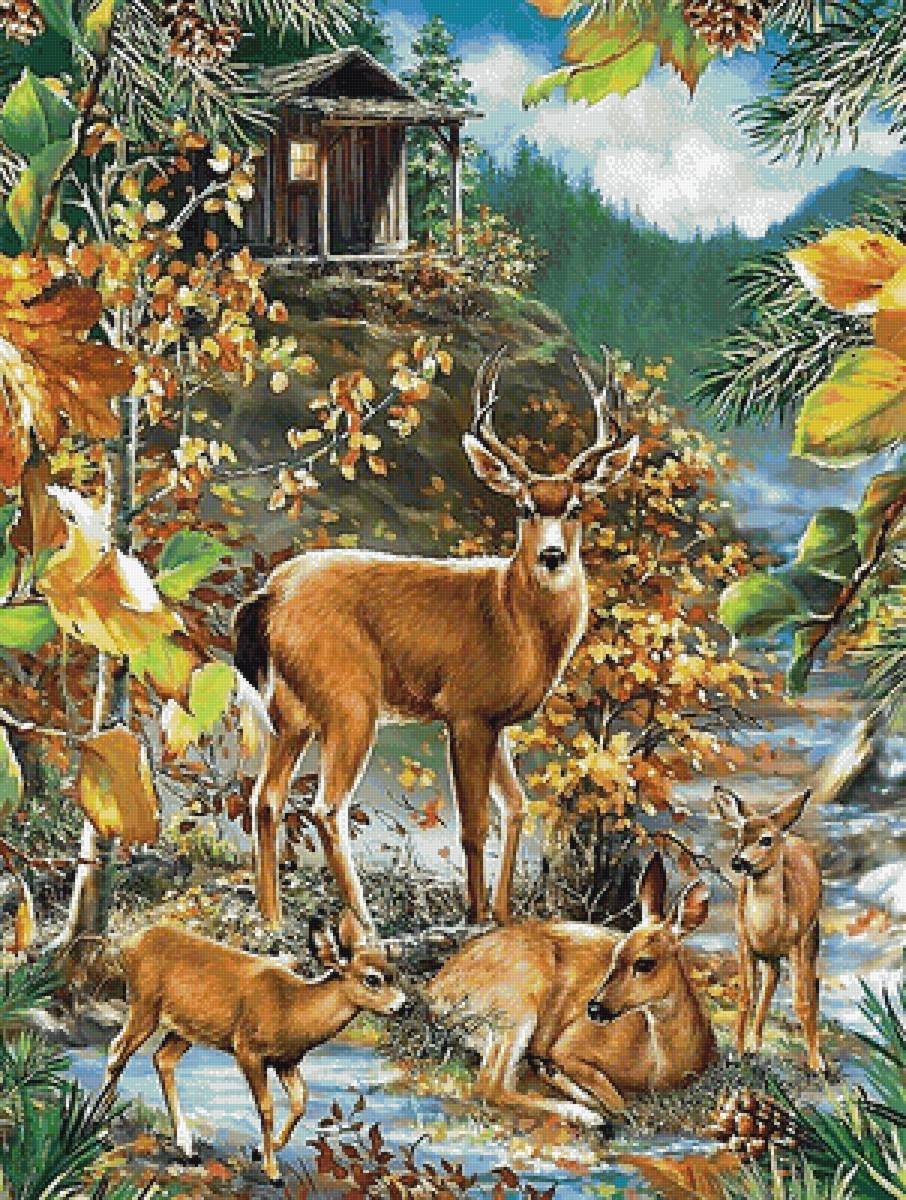 мир животных - мир животных - предпросмотр