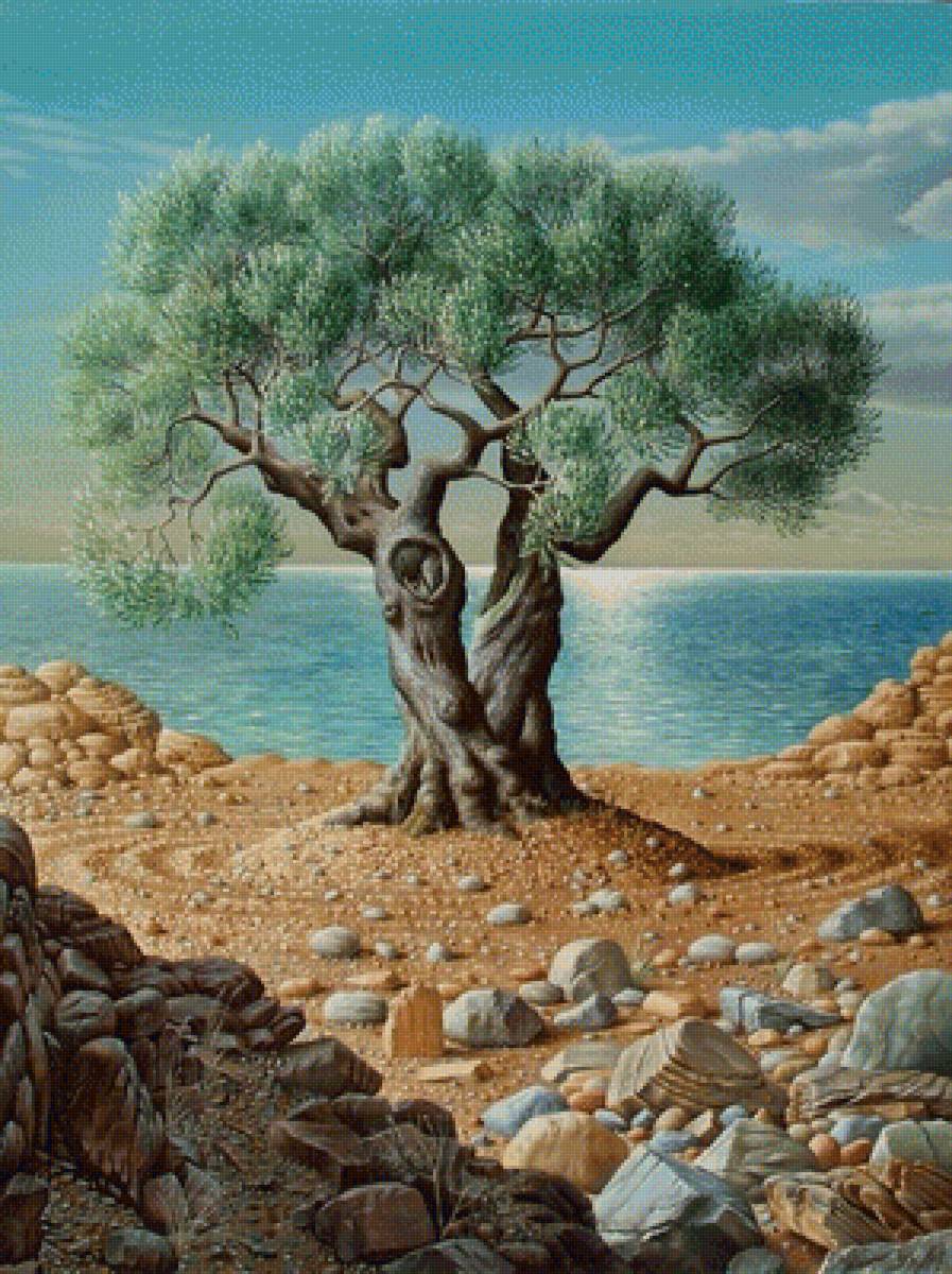 Дерево у моря - камни, море, дерево - предпросмотр